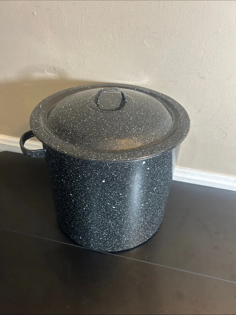 Black Speckled Stockpot with Lid - Heavy-Duty Cooking Pot Large.